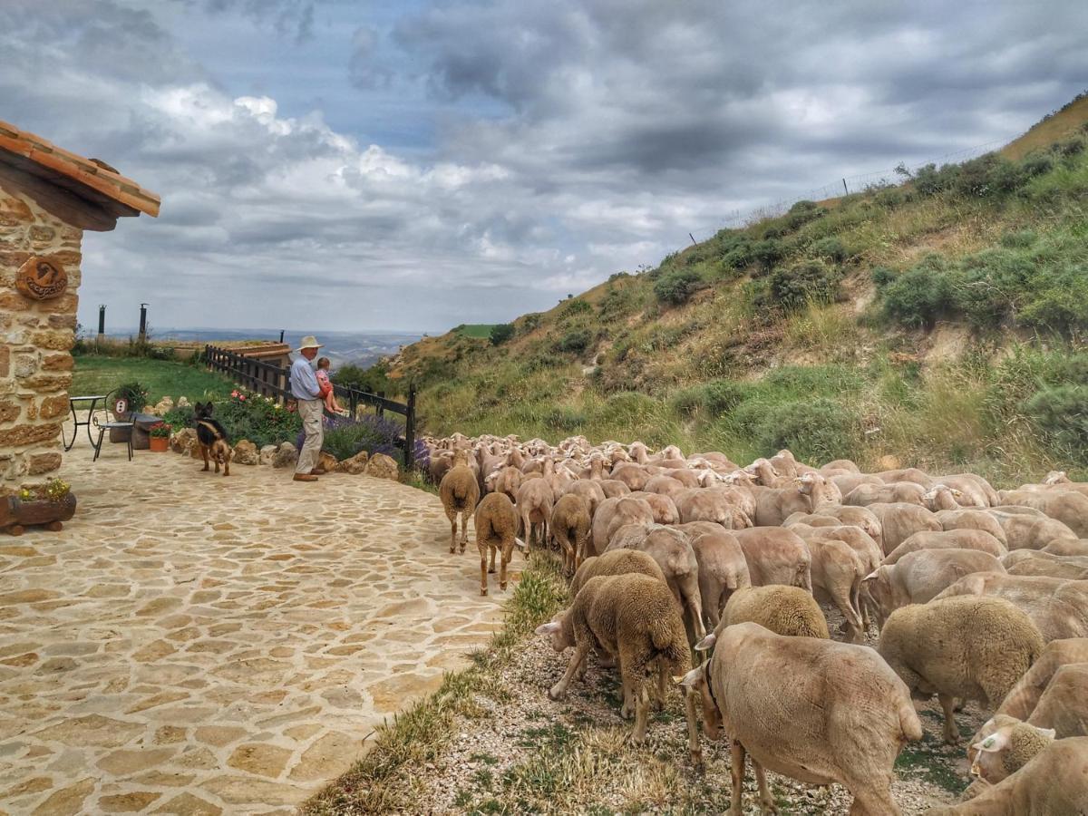 Masia El Cabrero Villarroya de los Pinares エクステリア 写真